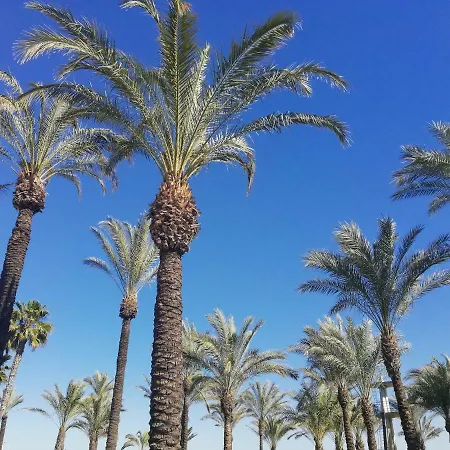 Carihuela Park Palace Apartment Torremolinos